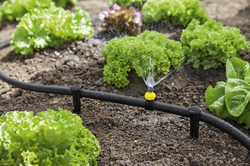 Hadica pre Kärcher Rain System