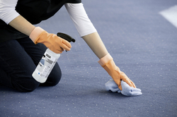 CarpetPro univerzálny odstraňovač fľakov RM 769, 500ml